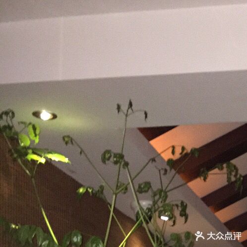 舜子足daoSPA养生会所(友谊北路店)