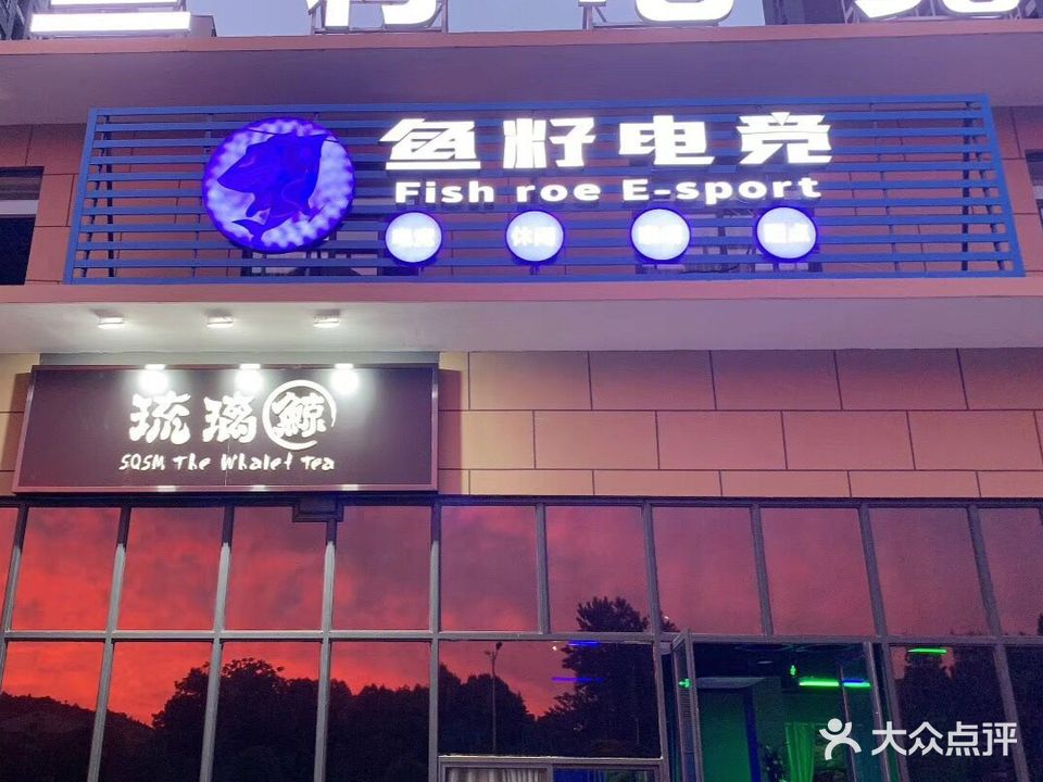 鱼籽电竞