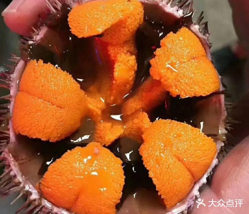 渔乐日本料理居酒屋(国定路店)
