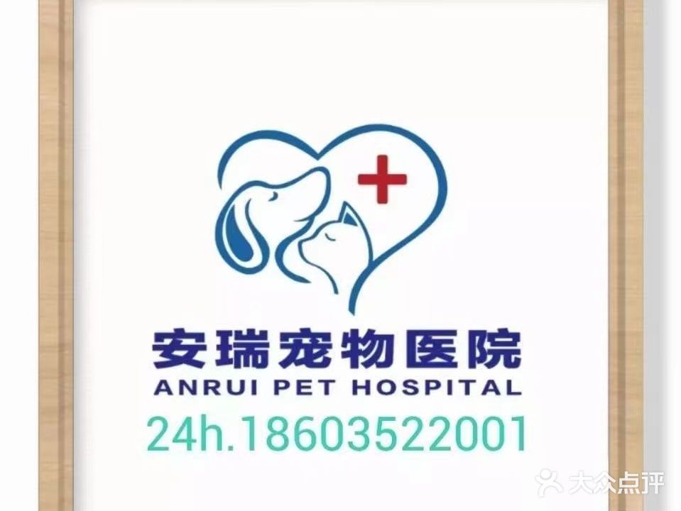 安瑞宠物医院