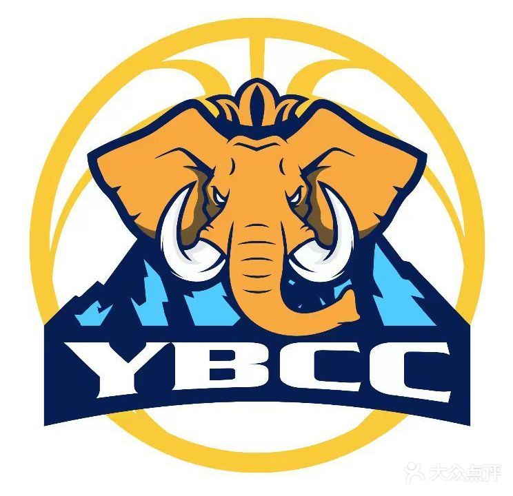 YBCC青少年篮球创造营(体育中心店)