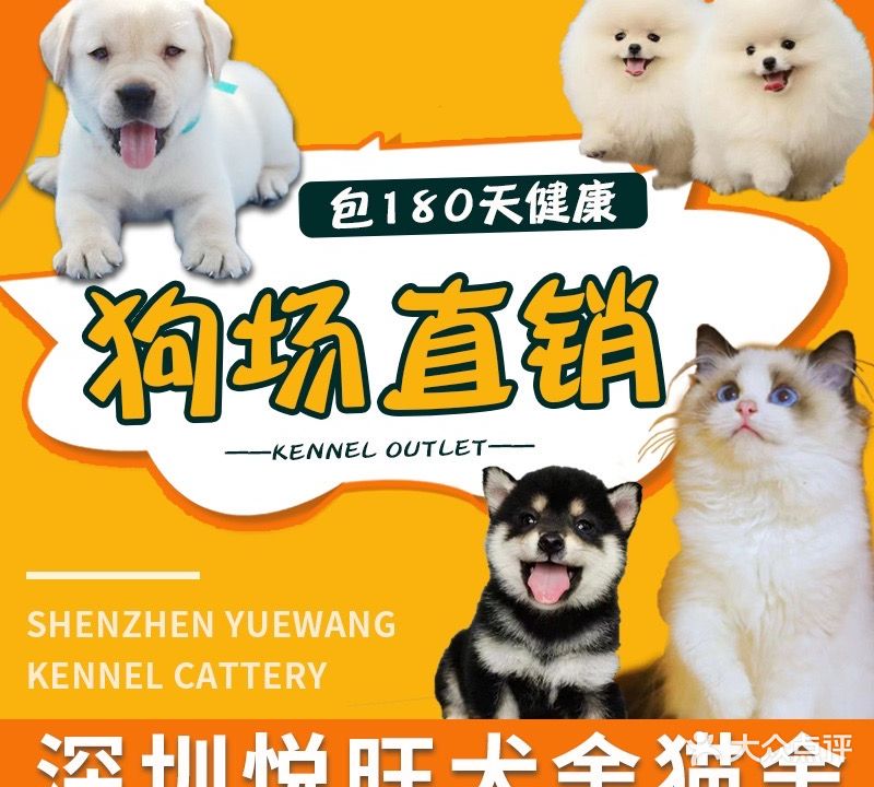 深圳悦旺林宠物狗场
