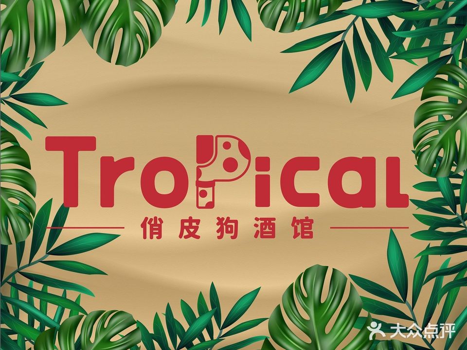 Tropical俏皮狗酒馆(金龙路店)