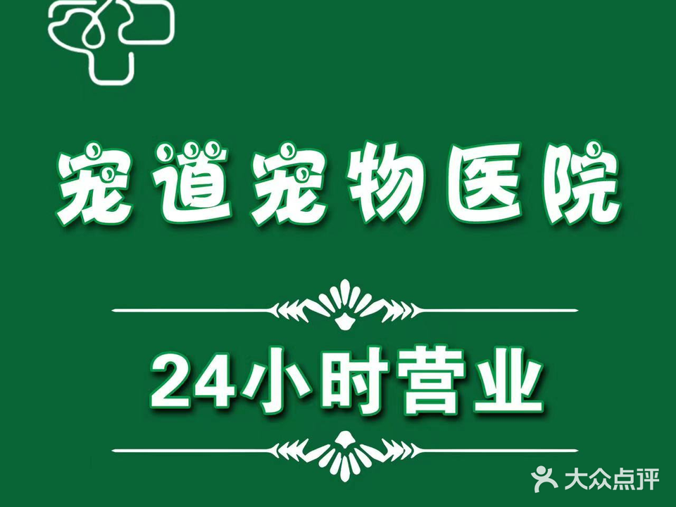 仁仁宠道宠物医院·骨科·心脏专科·针久(东河分店)