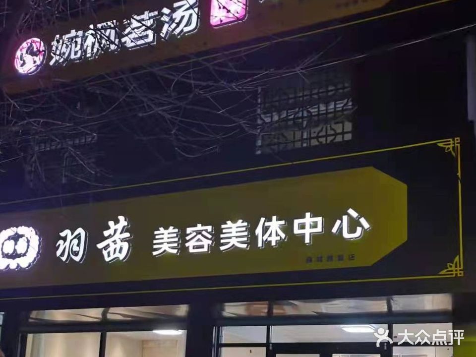 羽茜国际美容头疗养生馆(八一小区店)