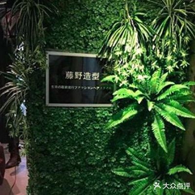 藤野造型专业烫染接发(珠海高新宝龙城店)