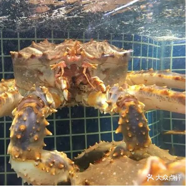 红日海鲜烧烤