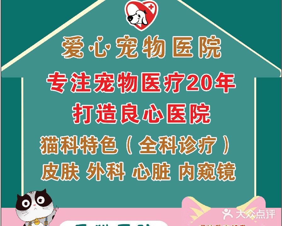 衡水市爱心宠物医院小动物转诊中心猫病专科