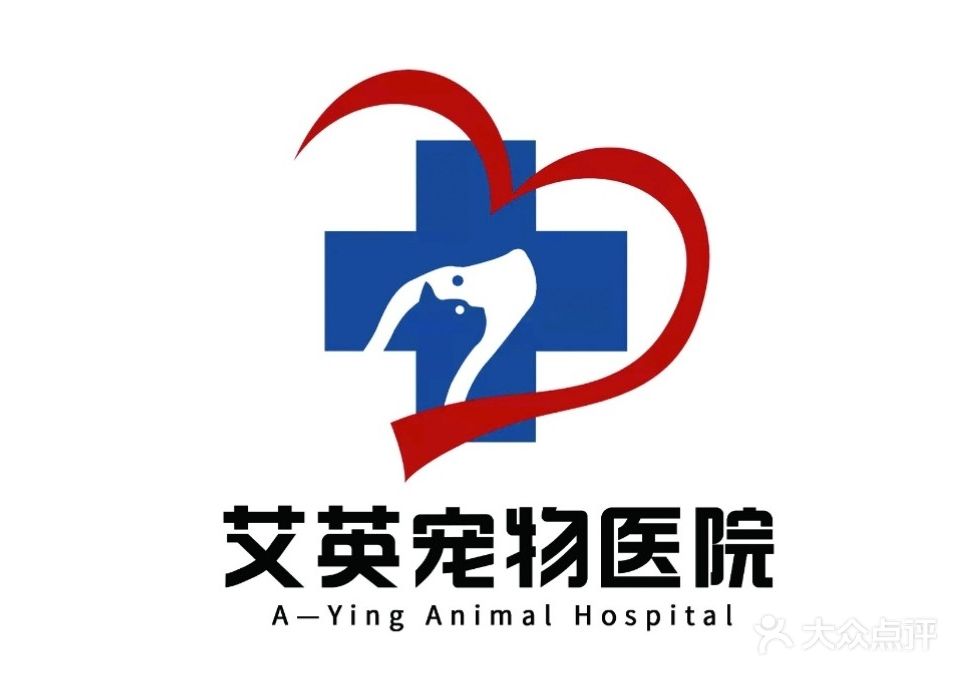 南宁市艾英宠物医院(阿英宠物诊所总店)