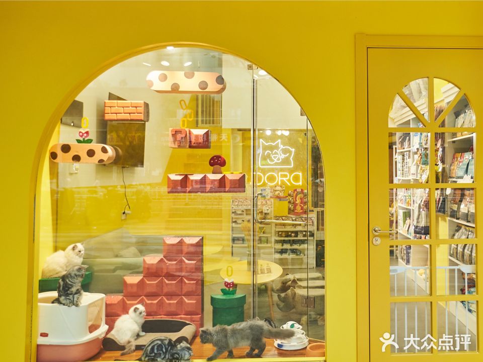 DORA宠屋生活(保利·天禧店)