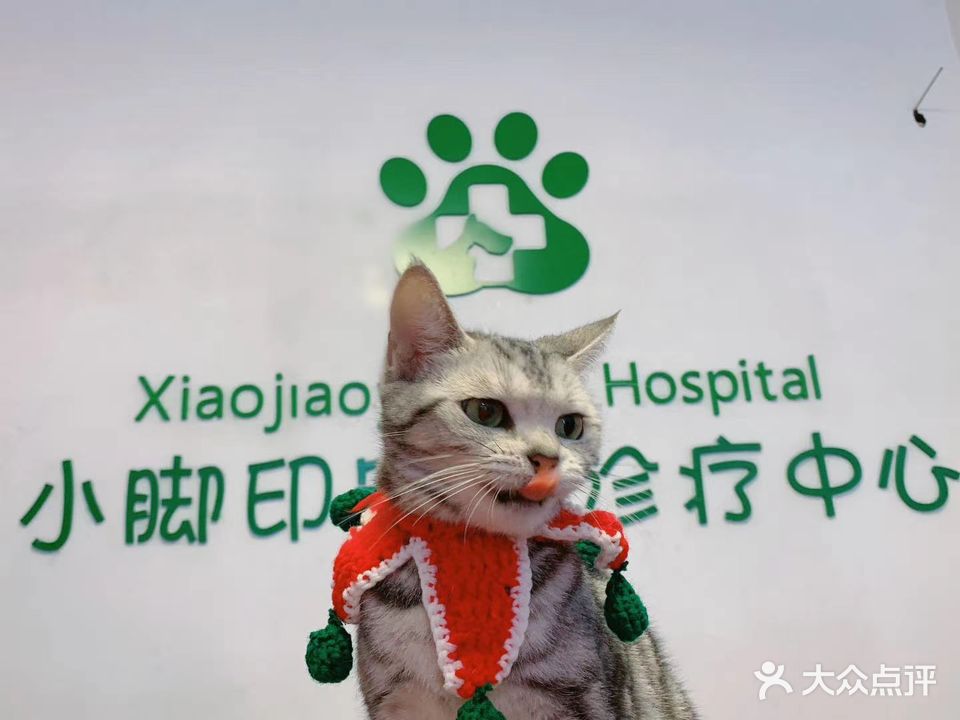 秀峰小脚印宠物诊疗中心(西山路店)