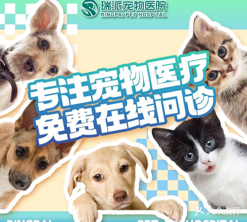 瑞派·华歧宠物店医院·犬猫专科·急重症内科