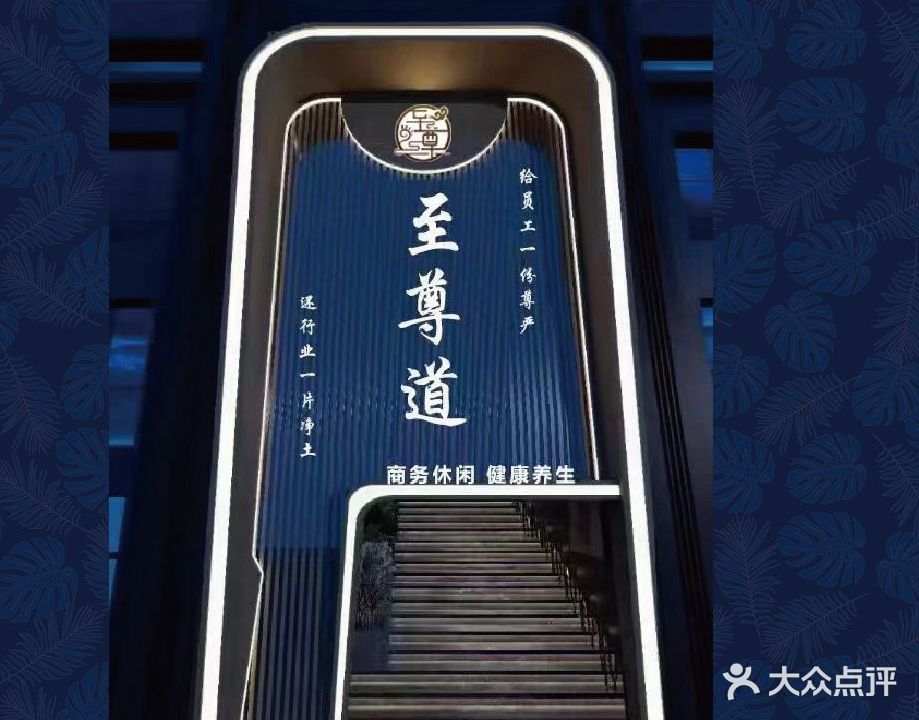 九悦倾城