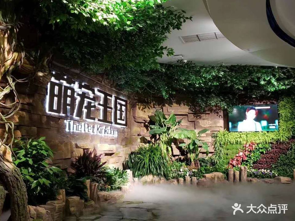 MiNi ZOO梦宠王国(正荣彩虹谷店)