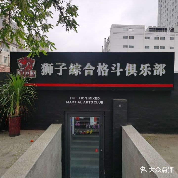 狮子综合格斗俱乐部