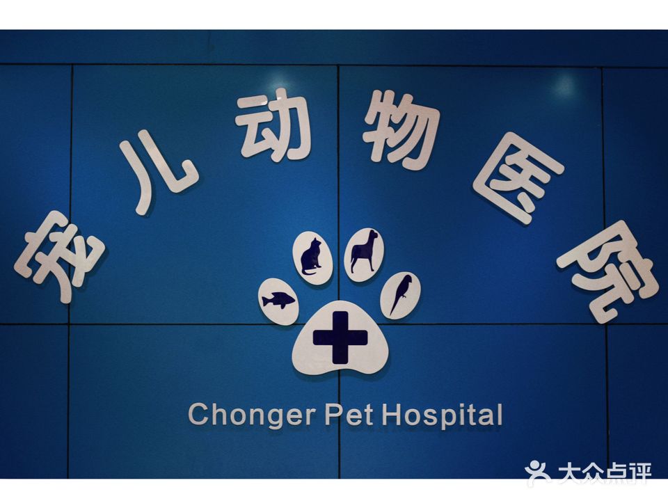 宠儿动物医院(灵秀街店)