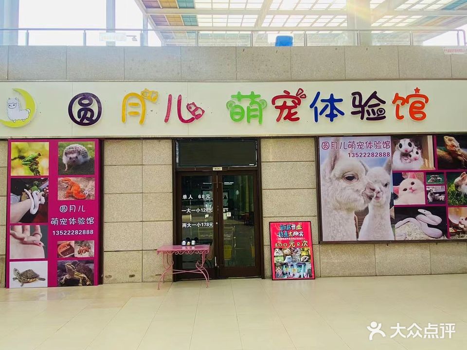 圆月儿萌宠体验馆(鑫乐汇购物广场店)