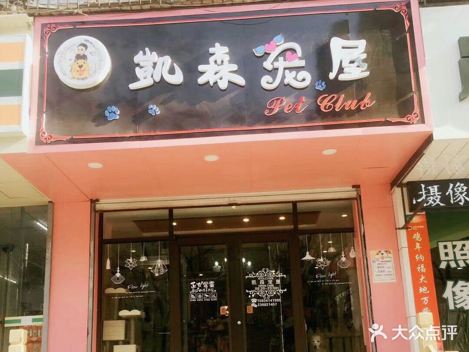 凱森宠屋(寇庄西路旗舰总店)