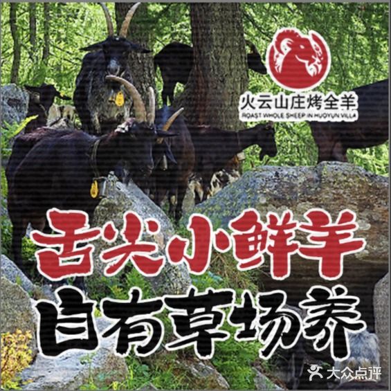 火云山庄烤全羊(天际岭店)