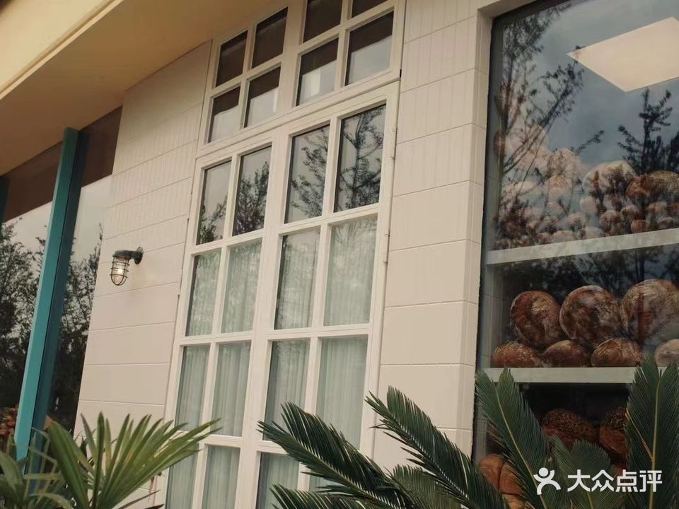 Lady Pineapple(河西金地店)