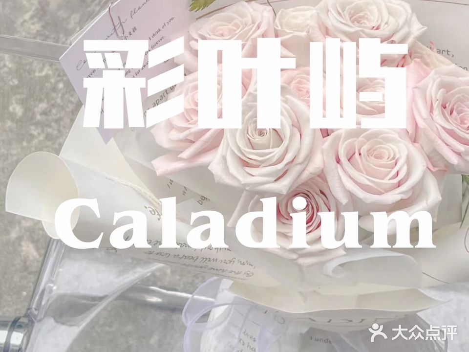 菜叶屿美甲(达达春天百货店)