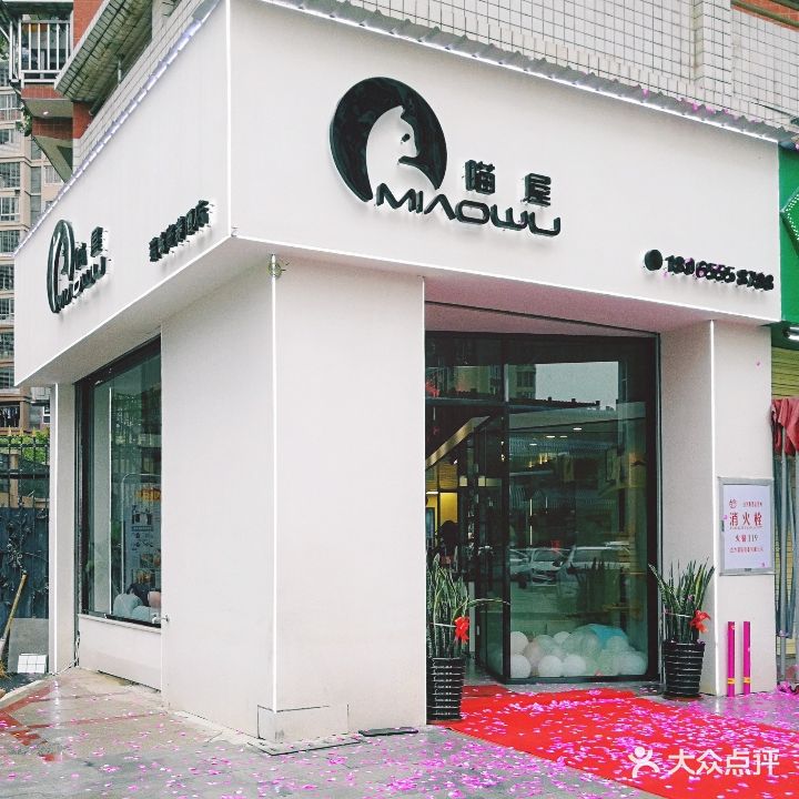 喵屋猫咪猫咖寄养宠物酒店