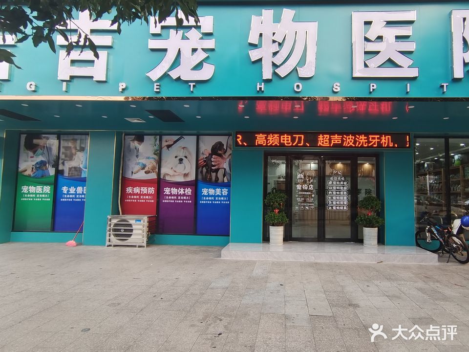吉吉宠物医院·夜诊·急重症·综合性全科医院(中山市西区店)