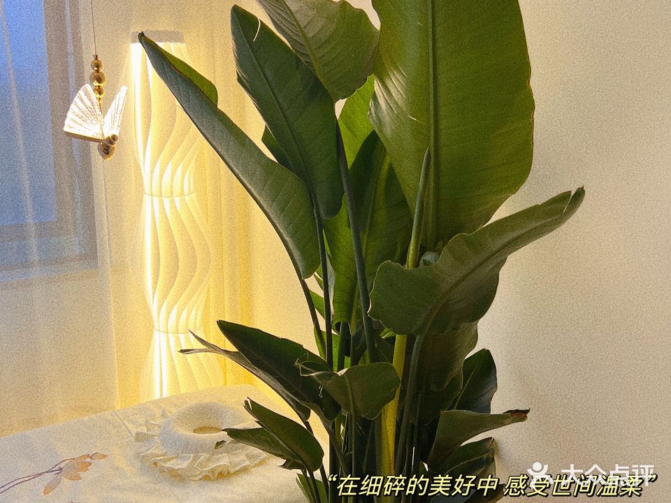 华尔街美甲美睫纹绣(大摩华尔街生活广场店)