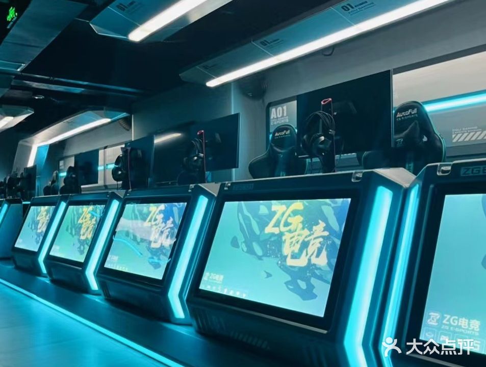 他他网络