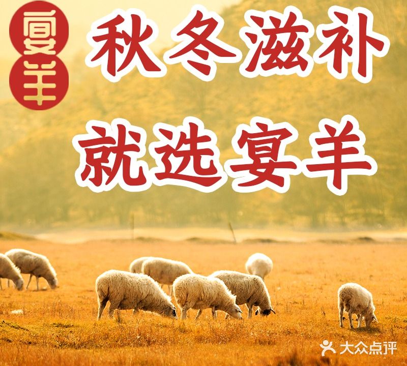 宴羊·藏书羊肉·烤羊腿(溪南公馆店)