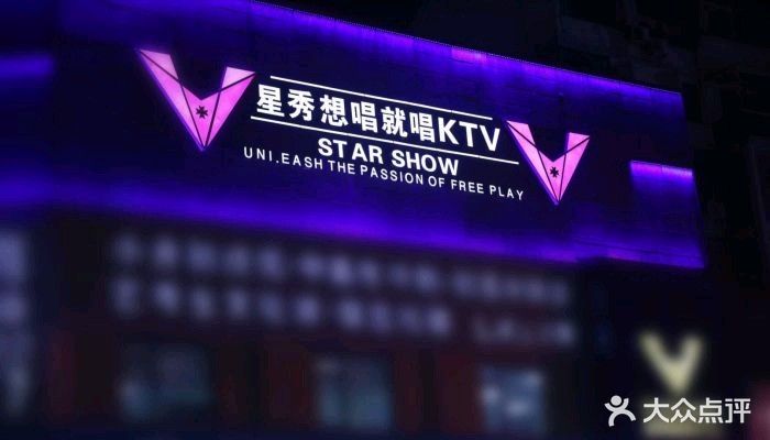 星秀派对KTV(步行街店)