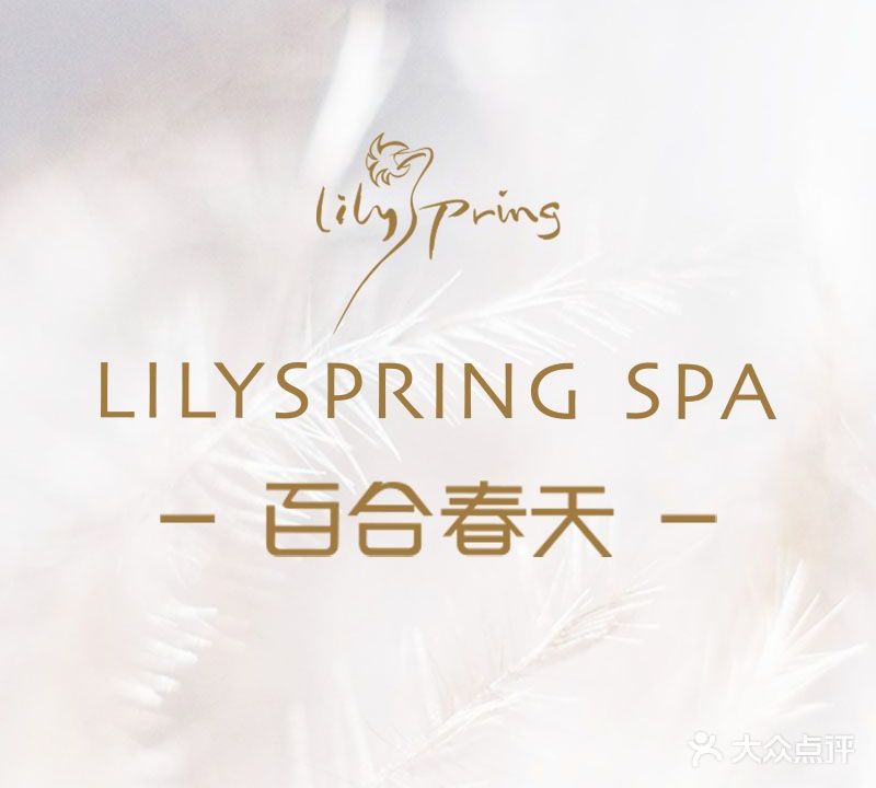 百合春天SPA(丽都店)