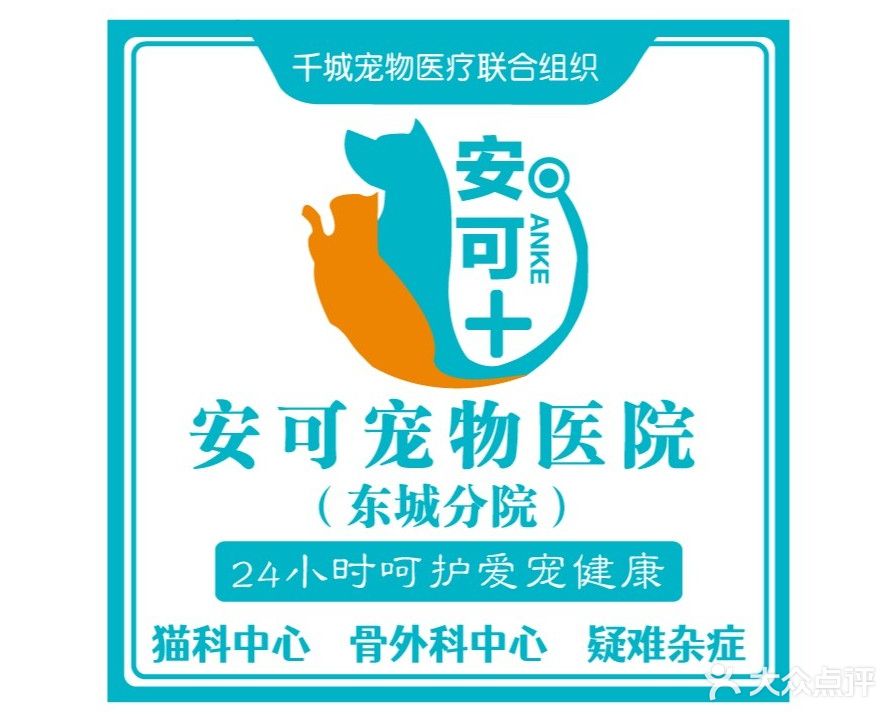 安可动物医院24h急重症接诊·骨外科·猫科(东城店)