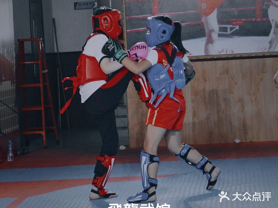 飞龙武馆