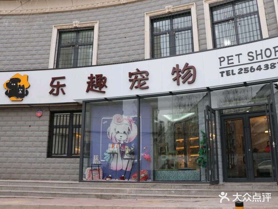 乐趣宠物