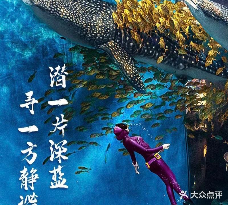 霜生Diving Club潜水俱乐部