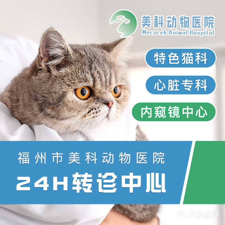 美科宠物医院·猫科·心脏专科·内窥镜中心