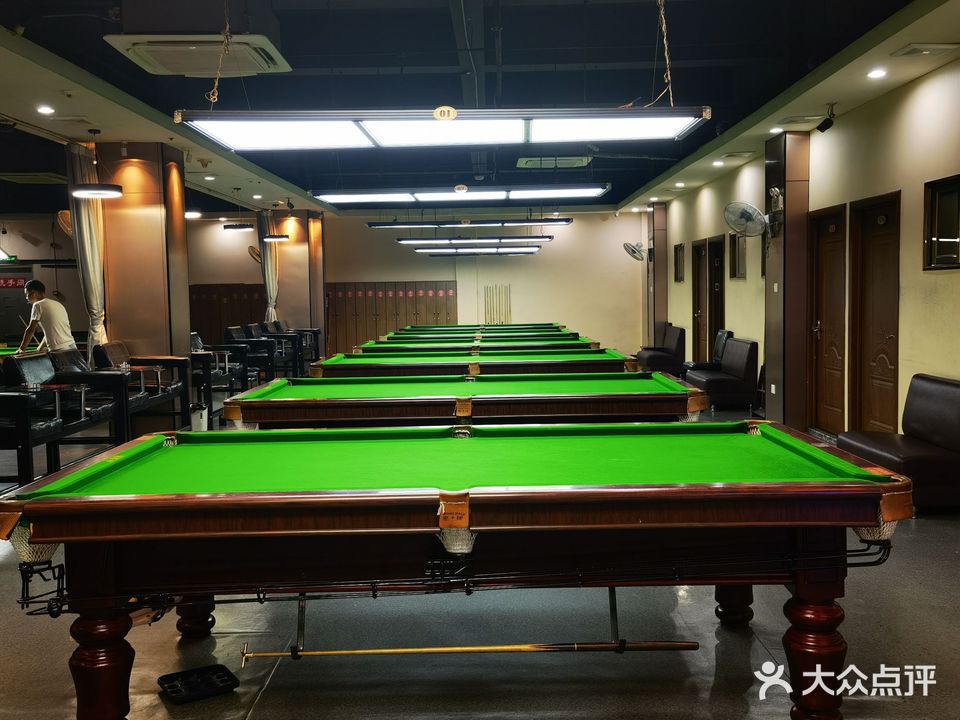 飞跃星牌台球