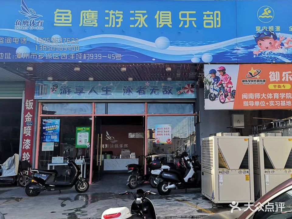鱼鹰游泳俱乐部