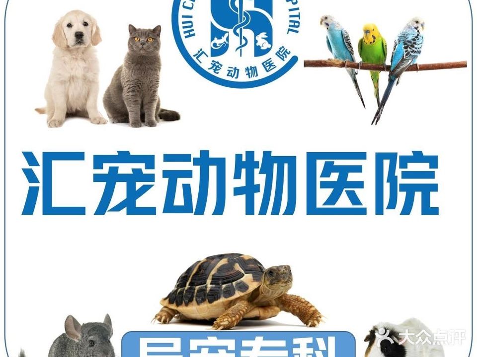 汇宠24h动物医院·犬猫急重症·异宠诊疗