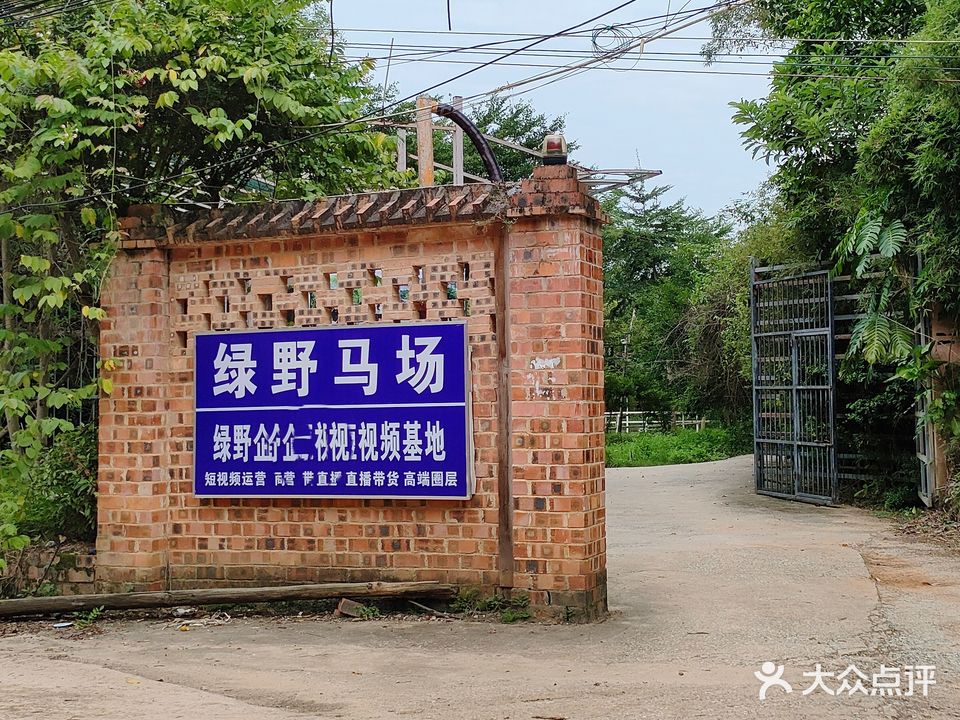 绿野马场