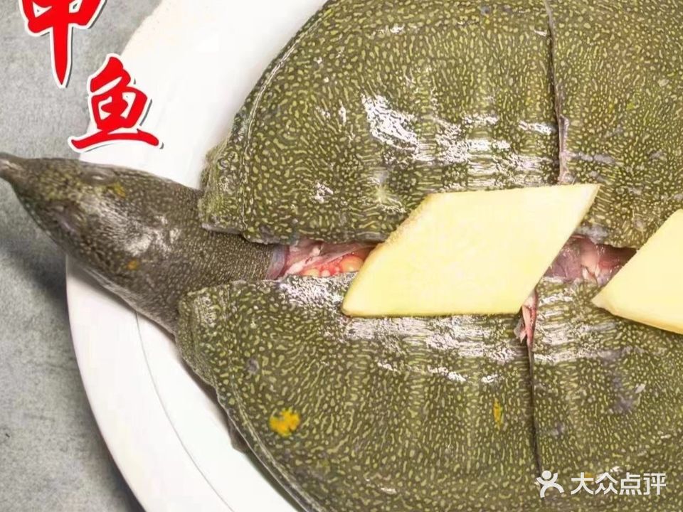 浔巡记·甲鱼鸡子牛鞭煲