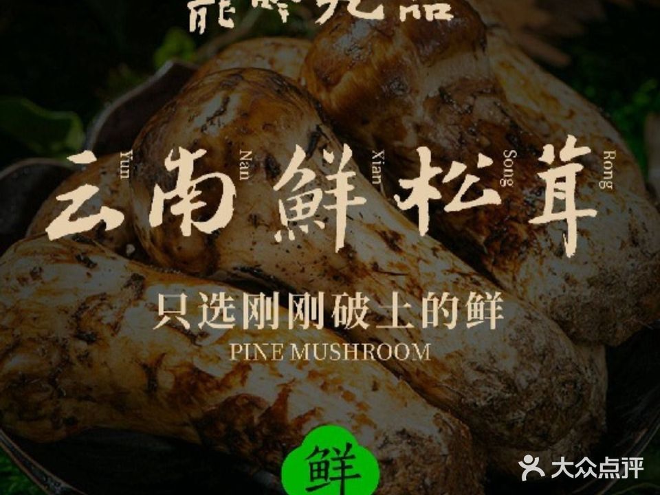 龙吟九品(宜悦里G66店)