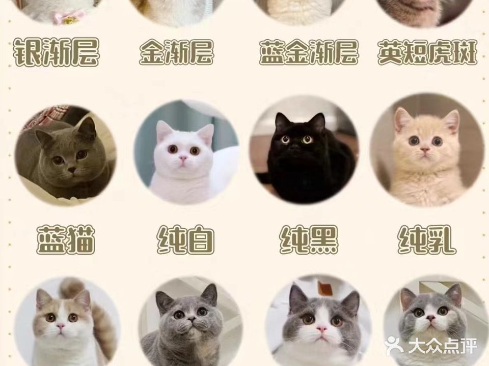 圆宠宠物生活馆