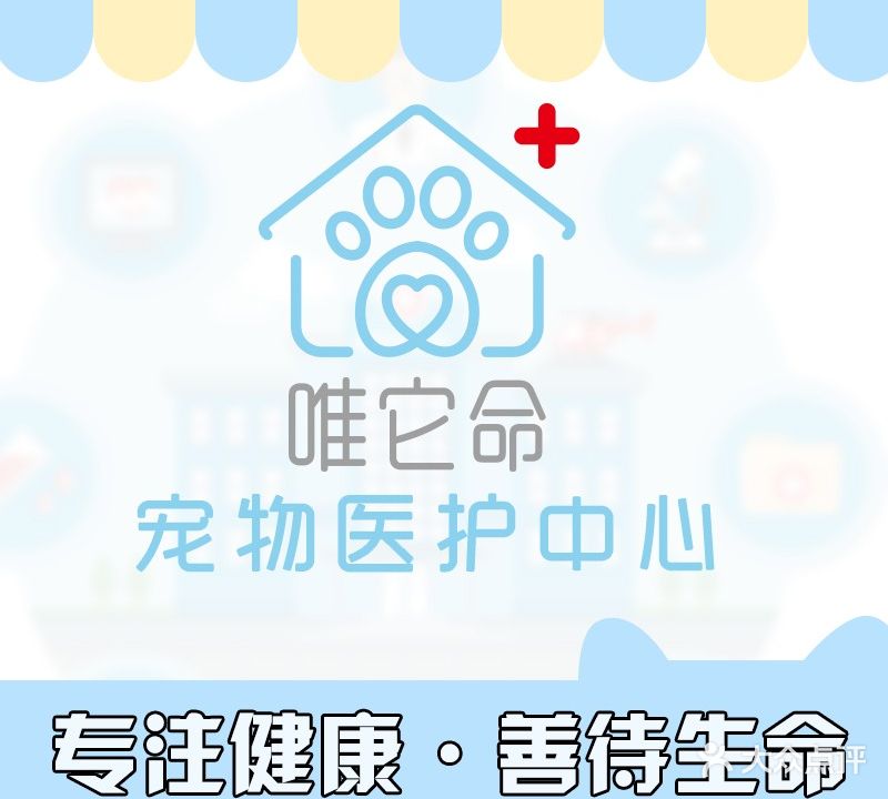 唯它命宠物服务中心