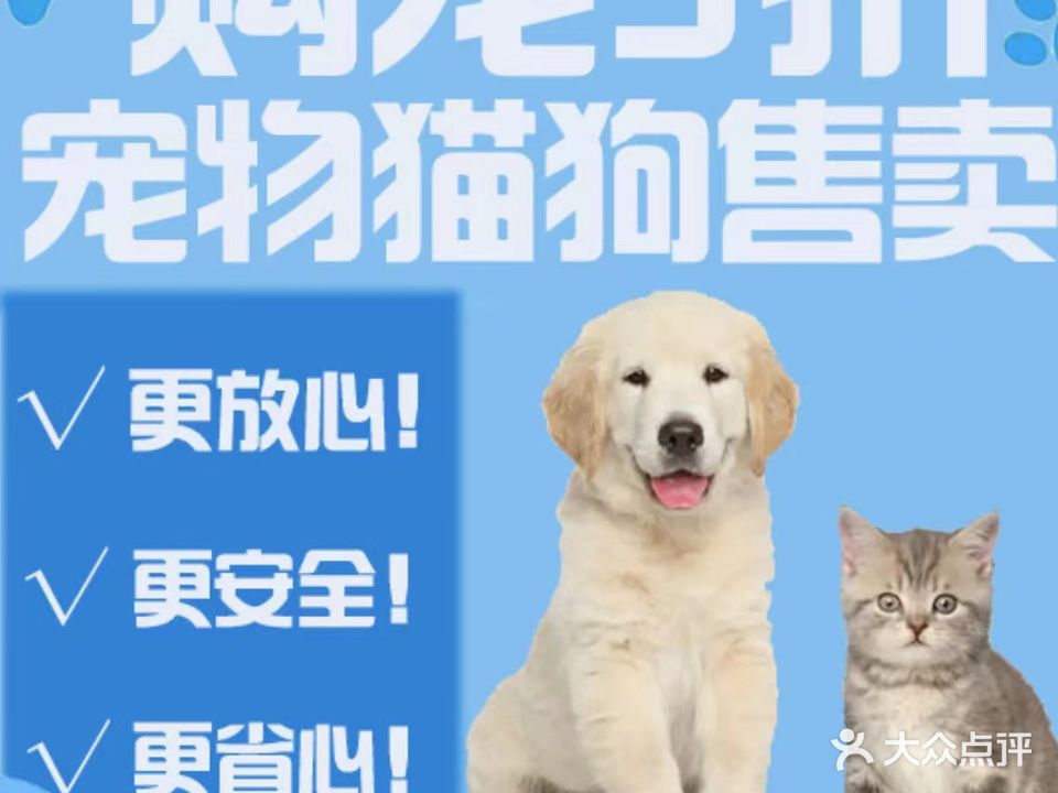 馨宠·猫狗异宠售卖·大型购宠基地