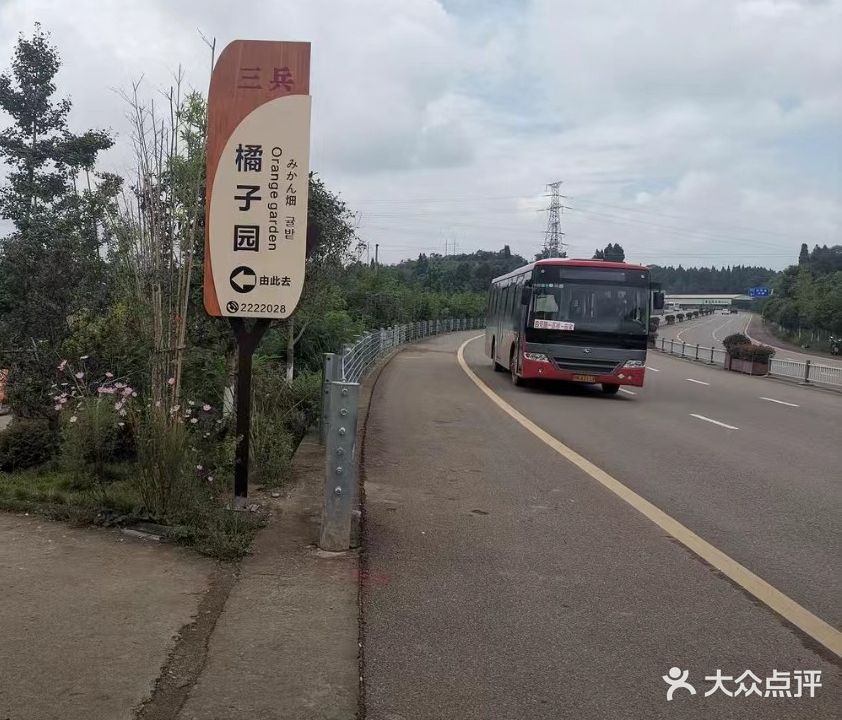 三兵橘子园