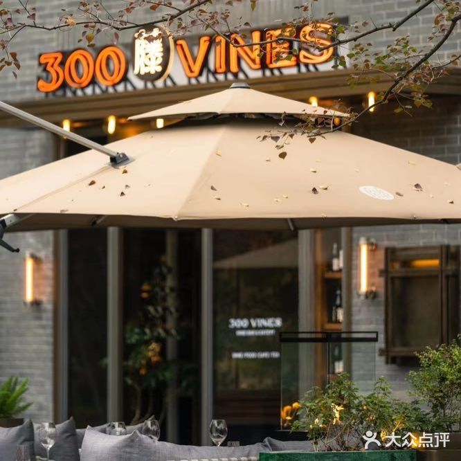 300藤VINES·Wine & Bistro(铁像寺水街店)