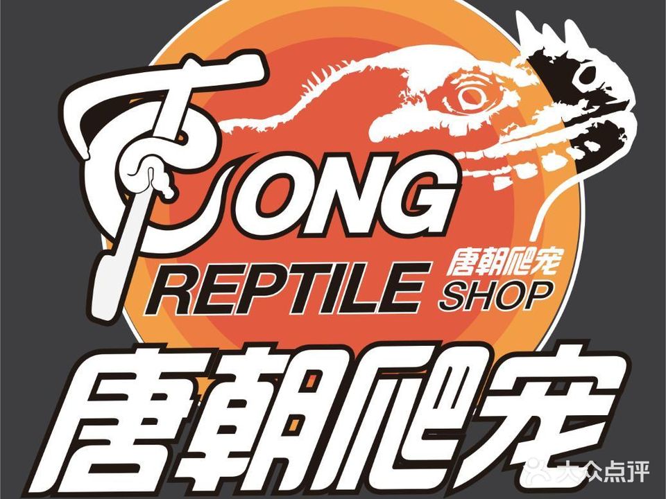 唐朝趴宠Tong Reptile Shop