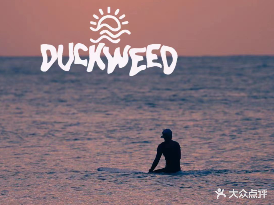 Duckweed浮笙浪冲浪俱乐部